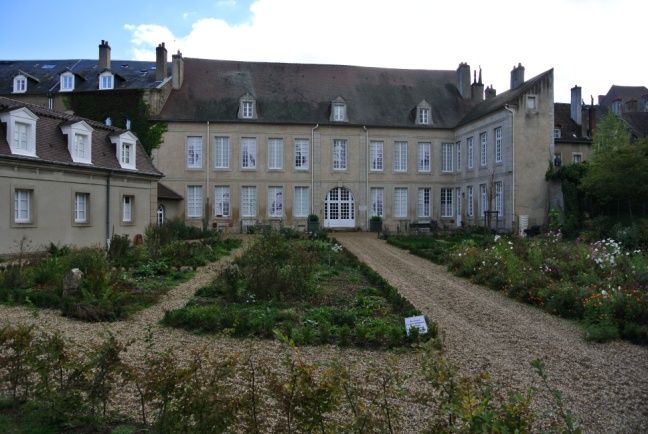 © Muséum d'histoire naturelle d'Autun