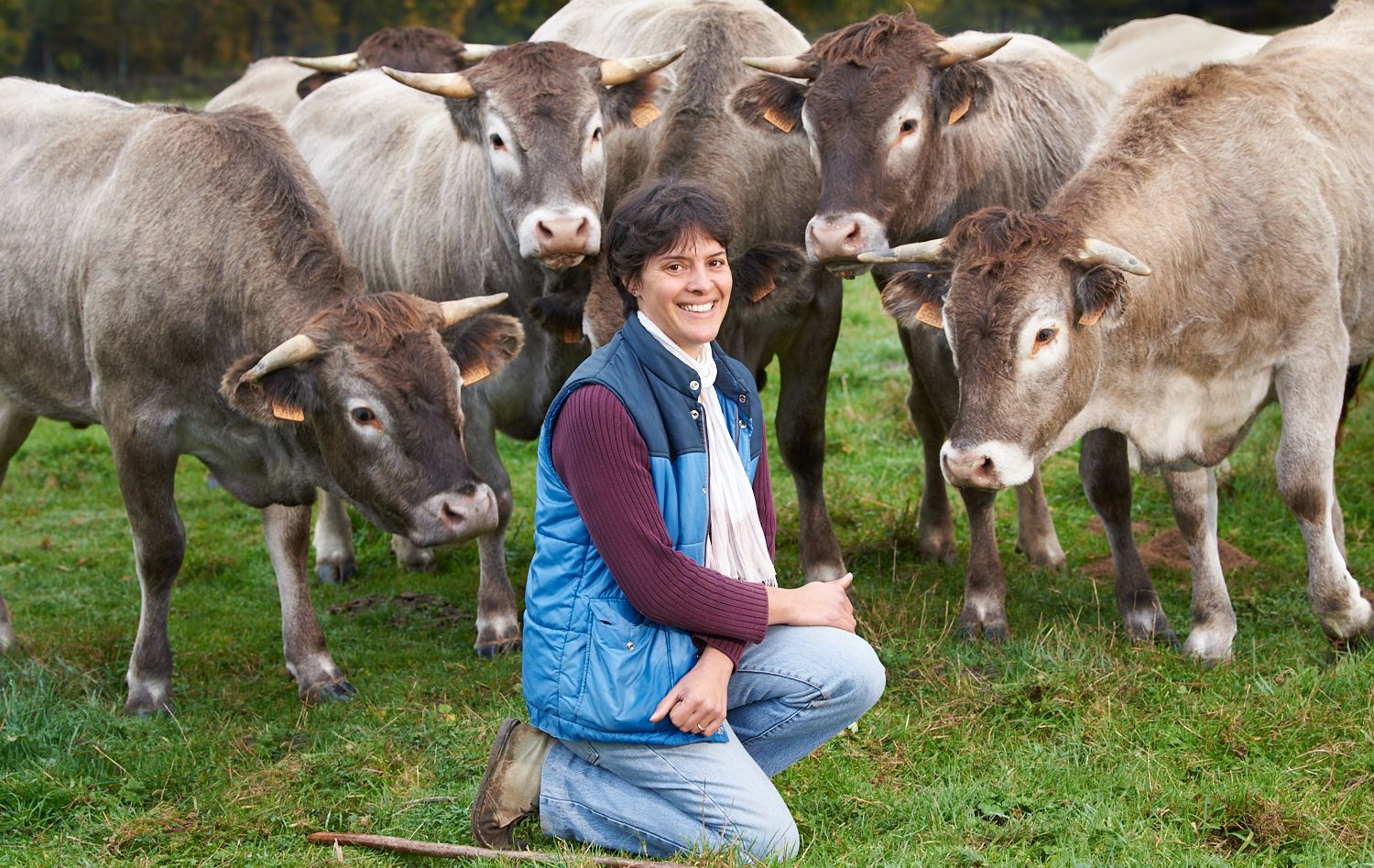 Laurence Henriot et son troupeau de race bazadaise ©Julien Dromas