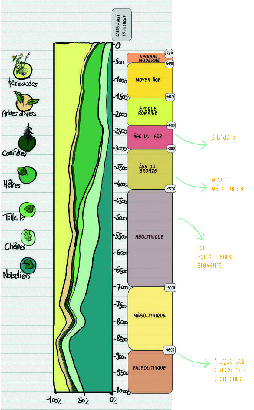 Diagramme pollinique. C’est le résultat de l’analyse de 8 tourbières du Morvan