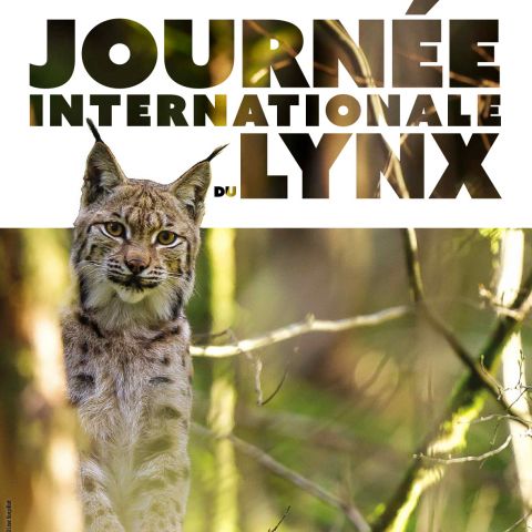 Journée internationale du Lynx @SFEPM