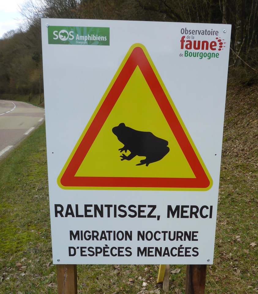 Panneau traversée d'amphibiens @G. Balay