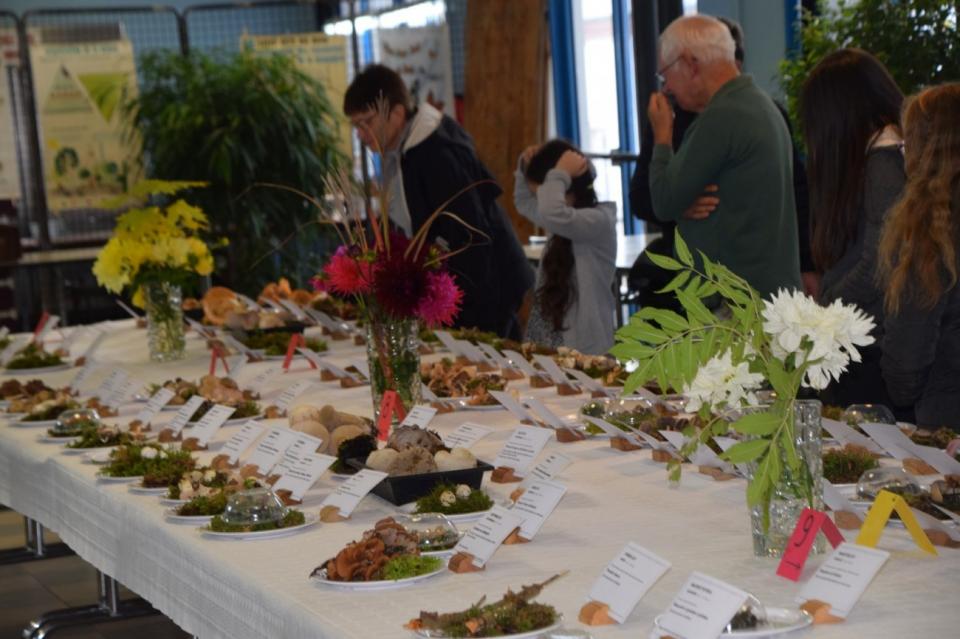 Une des tables d'exposition @SHNC